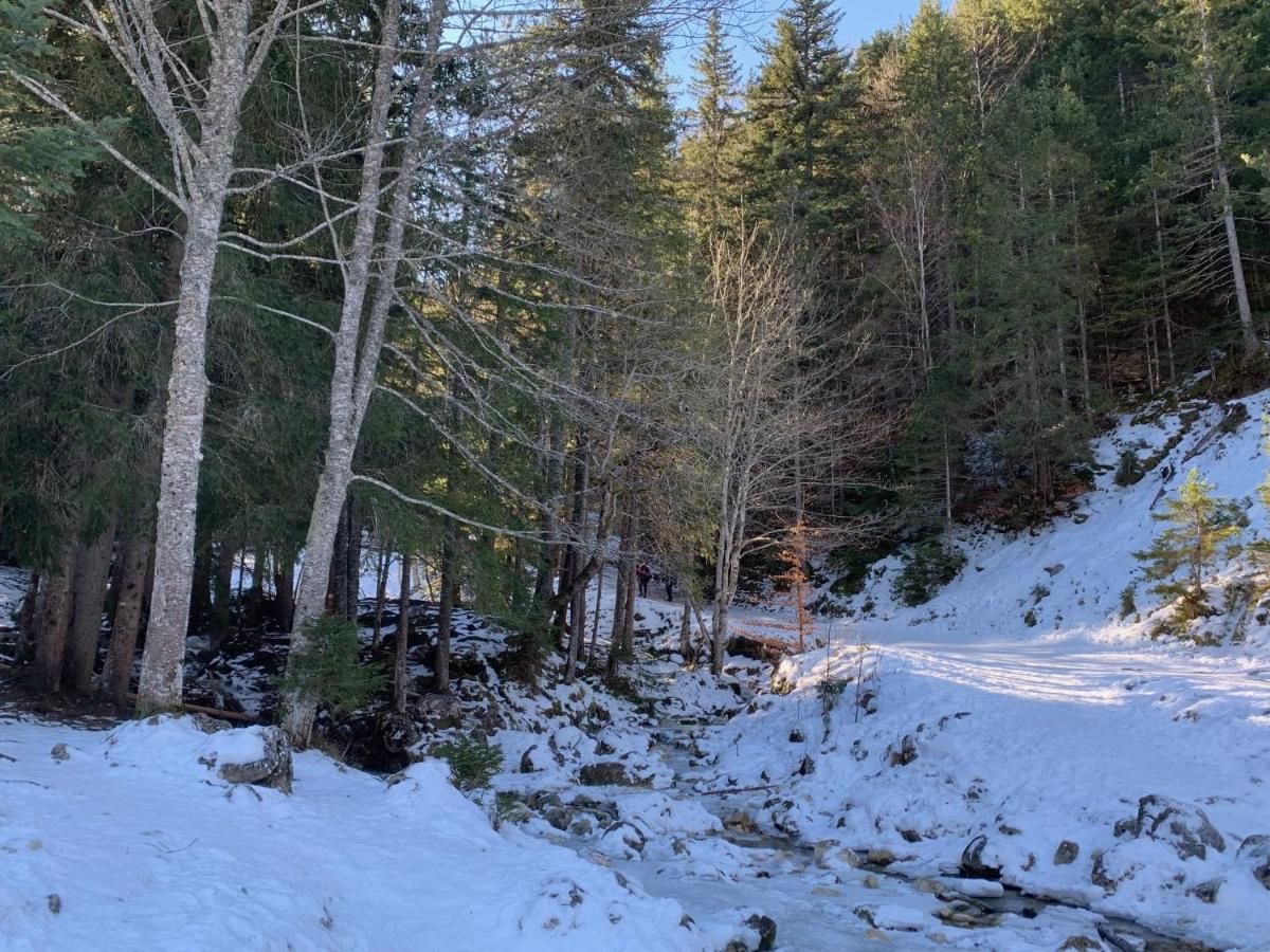 Bel Appart 3* Centre Village Villard-de-Lans Dış mekan fotoğraf